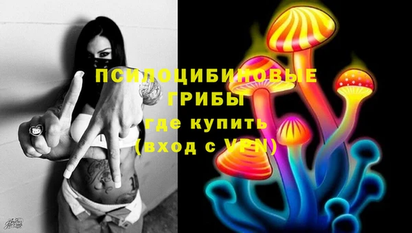 apvp Магас