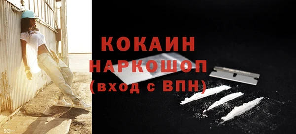 apvp Верея