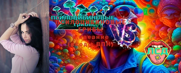 хмурый Алапаевск