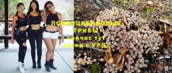 apvp Магас