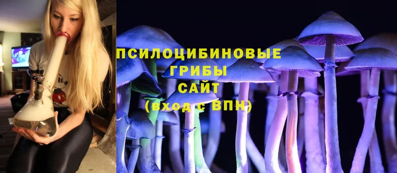 Псилоцибиновые грибы Psilocybine cubensis  Выкса 