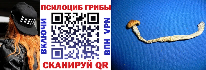 Галлюциногенные грибы MAGIC MUSHROOMS  shop наркотические препараты  Выкса 